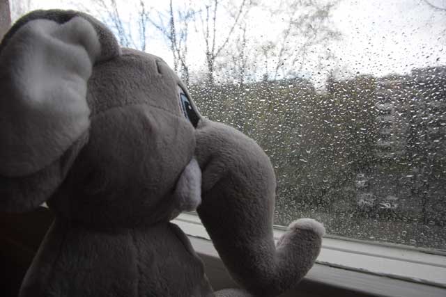 elephant toy at a window