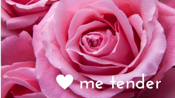 love me tender rose