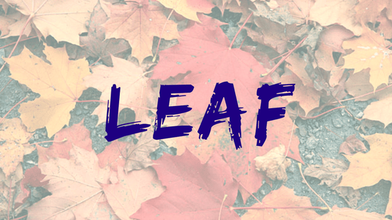 color leafs