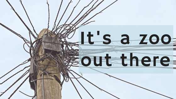 telephone pole wires