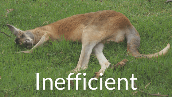 Inefficient kangaroo