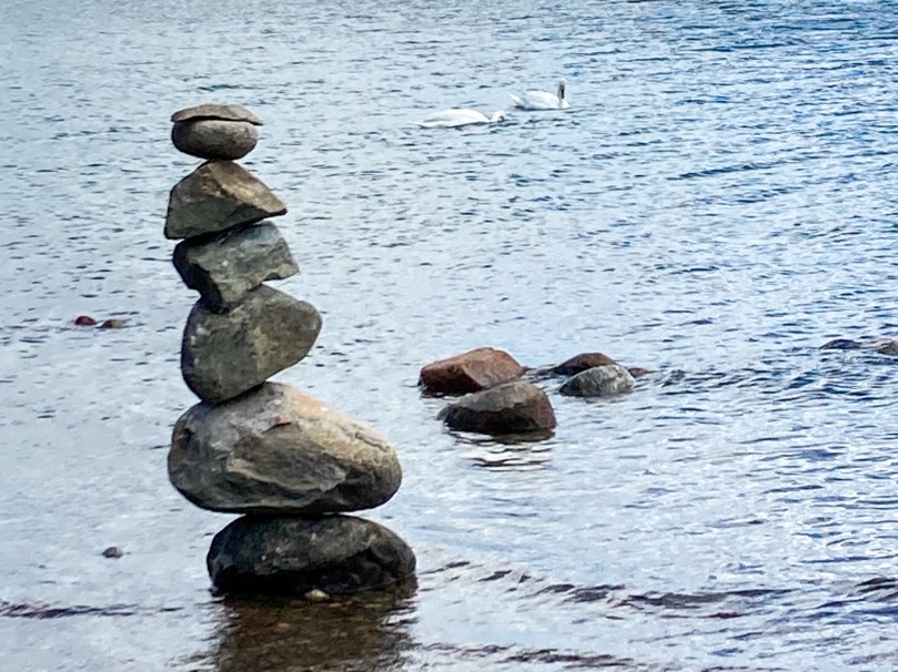 pile of rocks and swans